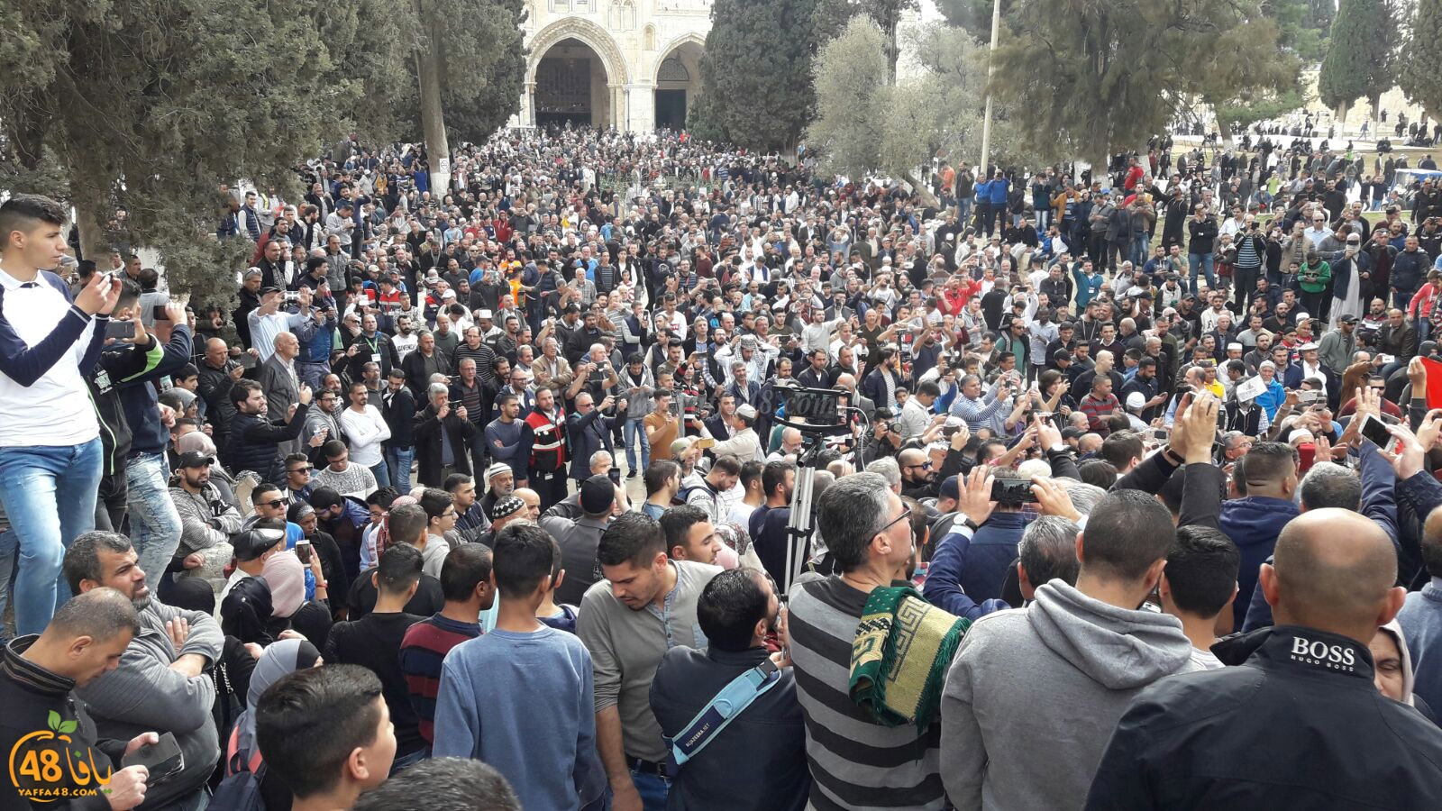 aqsa masirate (10).jpg